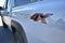 2027 Nissan Frontier Crew Cab PRO-4X®
